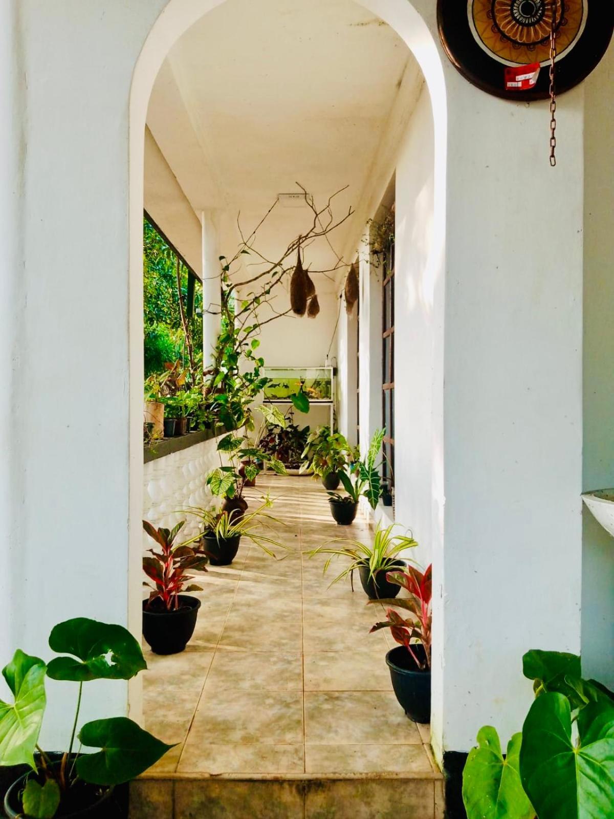 Abhaya Resorts Anuradhápura Exteriér fotografie